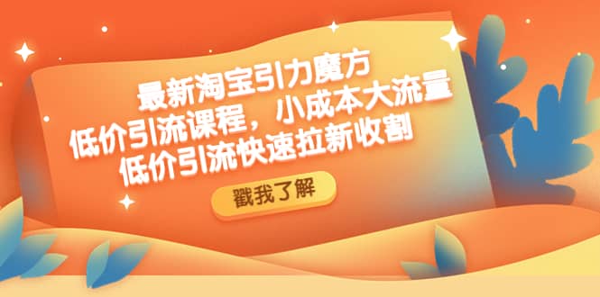 最新淘宝引力魔方低价引流实操：小成本大流量-91搞钱