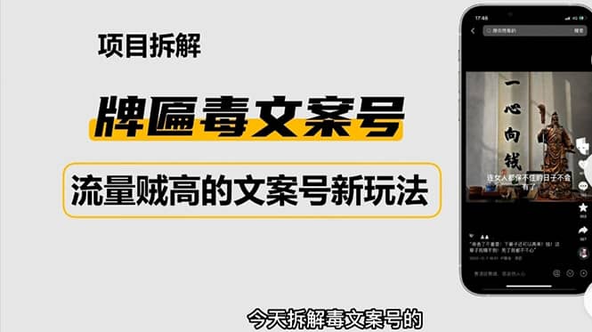 2023抖音快手毒文案新玩法，牌匾文案号，起号快易变现-91搞钱