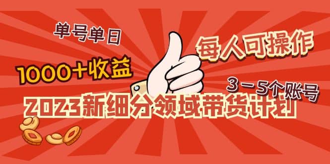 2023新细分领域带货计划：单号单日1000+收益不难，每人可操作3-5个账号-91搞钱