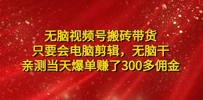 无脑视频号搬砖带货，只要会电脑剪辑，无脑干-91搞钱