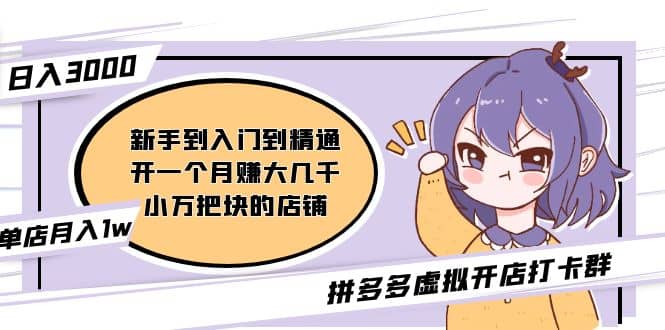 拼多多虚拟开店打卡群：新手到入门到精通-91搞钱