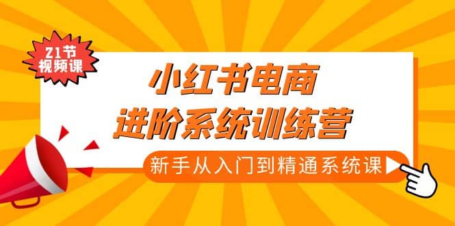 小红书电商进阶系统训练营：新手从入门到精通系统课（21节视频课）-91搞钱