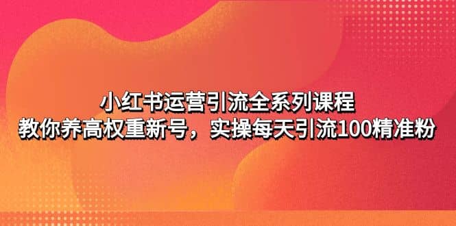小红书运营引流全系列课程：教你养高权重新号-91搞钱