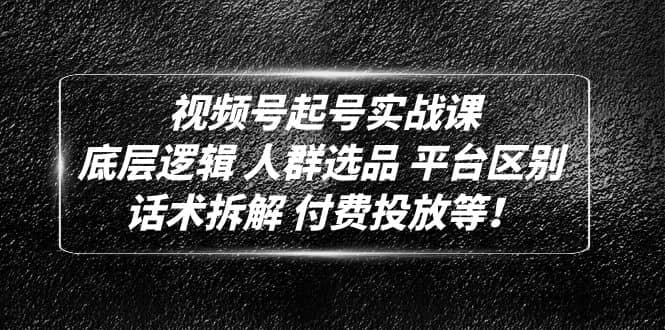视频号起号实战课：底层逻辑 人群选品 平台区别 话术拆解 付费投放等-91搞钱
