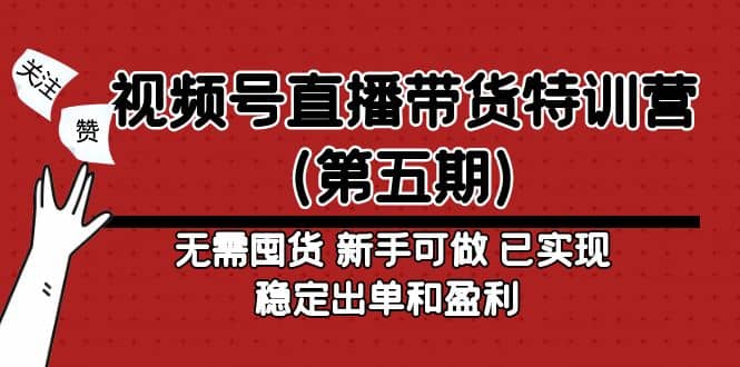 视频号直播带货特训营（第五期）无需囤货 新手可做 已实现稳定出单和盈利-91搞钱