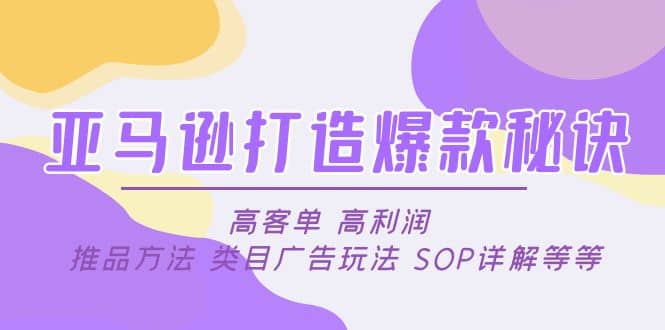 亚马逊打造爆款秘诀：高客单 高利润 推品方法 类目广告玩法 SOP详解等等-91搞钱
