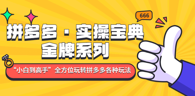 拼多多·实操宝典：金牌系列“小白到高手”带你全方位玩转拼多多各种玩法-91搞钱