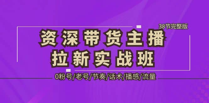 资深·带货主播拉新实战班，0粉号/老号/节奏/话术/播感/流量-38节完整版-91搞钱