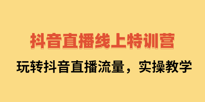 抖音直播线上特训营：玩转抖音直播流量，实操教学-91搞钱