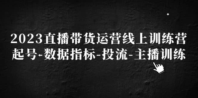 2023直播带货运营线上训练营，起号-数据指标-投流-主播训练-91搞钱