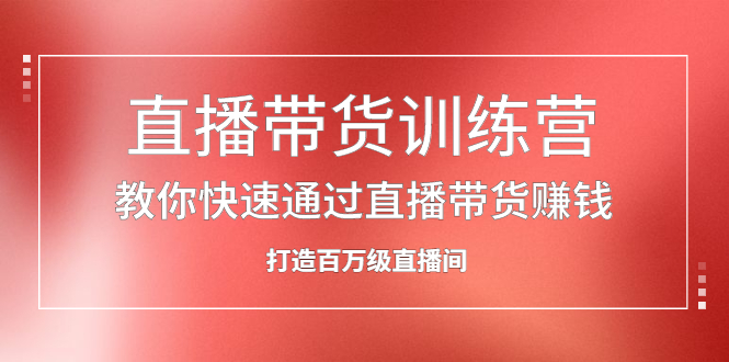直播带货训练营，教你快速通过直播带货赚钱，打造百万级直播间-91搞钱
