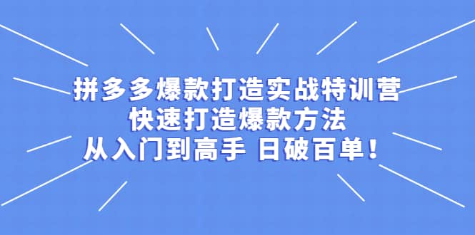 拼多多爆款打造实战特训营：快速打造爆款方法，从入门到高手 日破百单-91搞钱