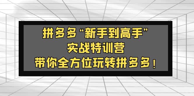 拼多多“新手到高手”实战特训营：带你全方位玩转拼多多-91搞钱