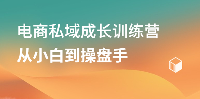 电商私域成长训练营，从小白到操盘手-91搞钱