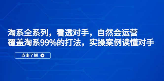 淘系全系列，看透对手，自然会运营，覆盖淘系99%·打法，实操案例读懂对手-91搞钱