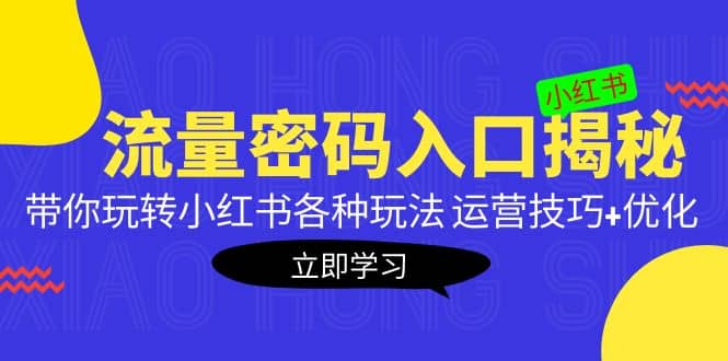 小红书流量密码入口揭秘：带你玩转小红书各种玩法 运营技巧+优化-91搞钱