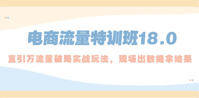 电商流量特训班18.0，直引万流量破局实操玩法，现场出数据拿结果-91搞钱
