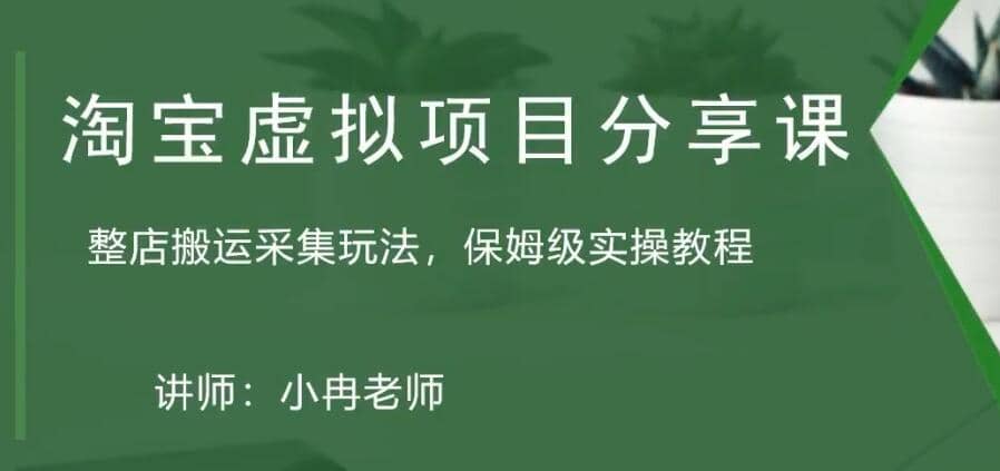 淘宝虚拟整店搬运采集玩法分享课：整店搬运采集玩法，保姆级实操教程-91搞钱