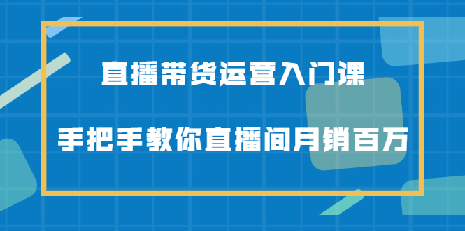 直播带货运营入门课，手把手教你直播间月销百万-91搞钱