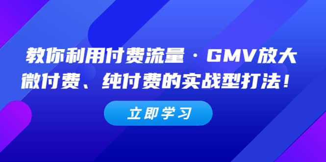 教你利用付费流量·GMV放大，微付费、纯付费的实战型打法-91搞钱