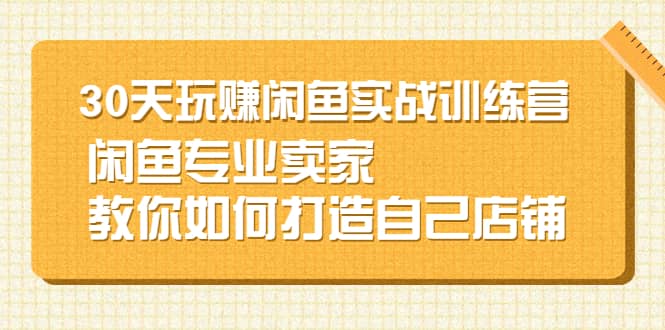 30天玩赚闲鱼实战训练营，闲鱼专业卖家教你如何打造自己店铺-91搞钱