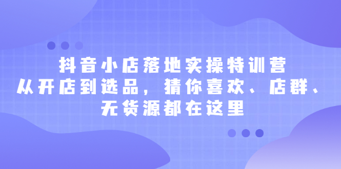 抖音小店落地实操特训营，从开店到选品，猜你喜欢、店群、无货源都在这里-91搞钱