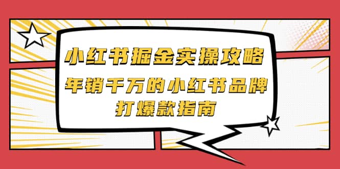 小红书掘金实操攻略，年销千万的小红书品牌打爆款指南-91搞钱