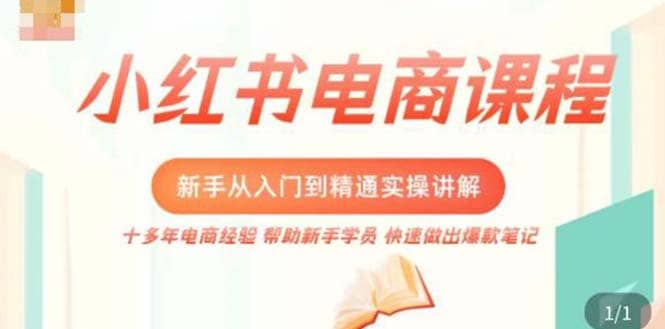 小红书电商新手入门到精通实操课，从入门到精通做爆款笔记，开店运营-91搞钱