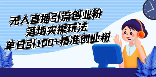 外面收费3980的无人直播引流创业粉落地实操玩法，单日引100+精准创业粉-91搞钱