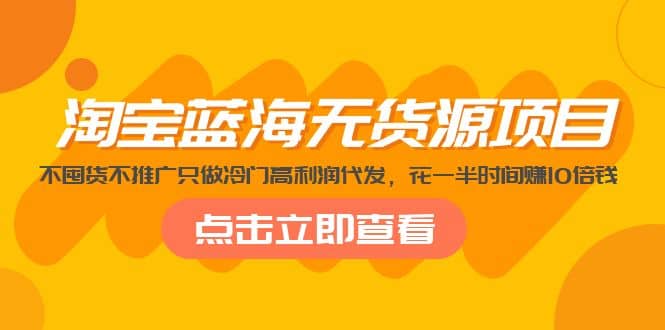 淘宝蓝海无货源项目，不囤货不推广只做冷门高利润代发-91搞钱