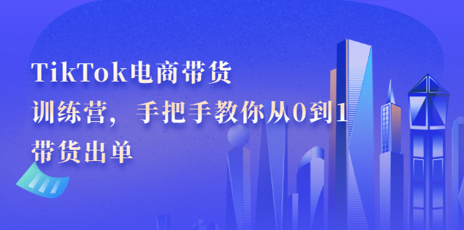 TikTok电商带货训练营，手把手教你从0到1带货出单-91搞钱