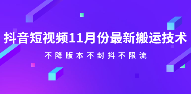 抖音短视频11月份最新搬运技术，不降版本不封抖不限流！【视频课程】-91搞钱