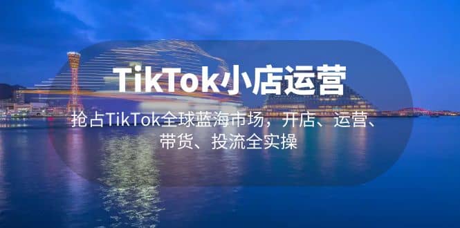 TikTok小店运营 抢占TikTok全球蓝海市场，开店、运营、带货、投流全实操-91搞钱