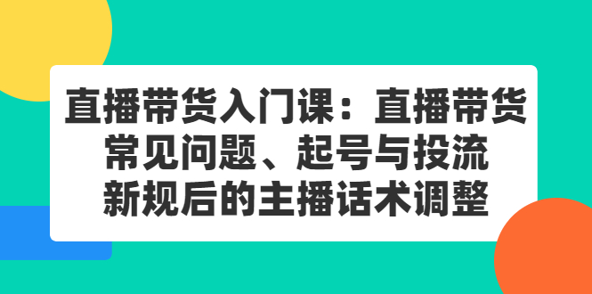 直播带货入门课：直播带货常见问题、起号与投流、新规后的主播话术调整-91搞钱