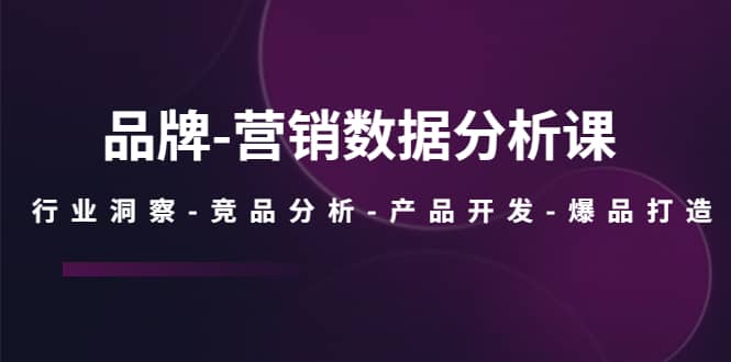 品牌-营销数据分析课，行业洞察-竞品分析-产品开发-爆品打造-91搞钱