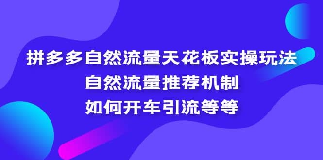 拼多多自然流量天花板实操玩法：自然流量推荐机制，如何开车引流等等-91搞钱