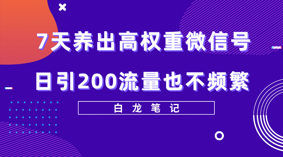 7天养出高权重微信号，日引200流量也不频繁，方法价值3680元-91搞钱