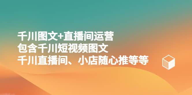 千川图文+直播间运营，包含千川短视频图文、千川直播间、小店随心推等等-91搞钱