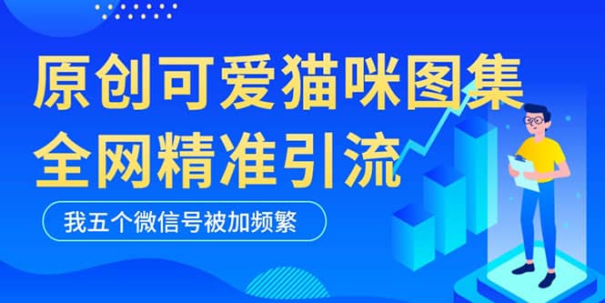 黑科技纯原创可爱猫咪图片，全网精准引流，实操5个VX号被加频繁-91搞钱
