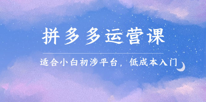 拼多多运营课，适合小白初涉平台，低成本入门-91搞钱