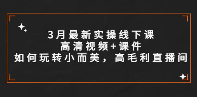 3月最新实操线下课高清视频+课件，如何玩转小而美，高毛利直播间-91搞钱