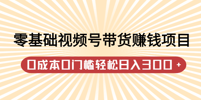 零基础视频号带货赚钱项目，0成本0门槛轻松日入300+【视频教程】-91搞钱