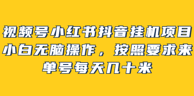 视频号小红书抖音工具项目，小白无脑操作，按照要求来，单号每天几十米-91搞钱