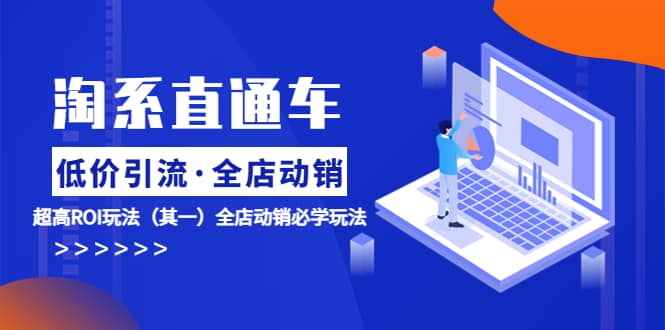 淘系直通车《低价·引流 全店·动销》超高ROI玩法（其一）全店动销必学玩法-91搞钱