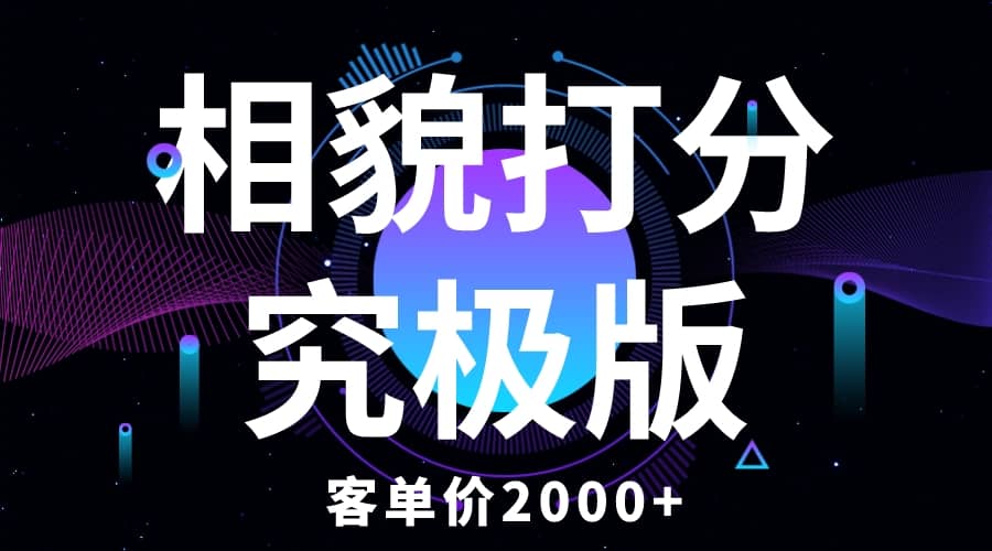 相貌打分究极版，客单价2000+纯新手小白就可操作的项目-91搞钱