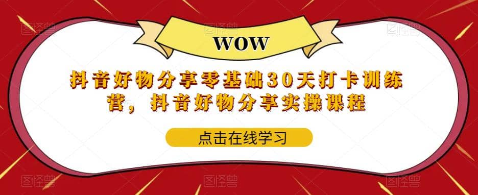 抖音好物分享0基础30天-打卡特训营，抖音好物分享实操课程-91搞钱