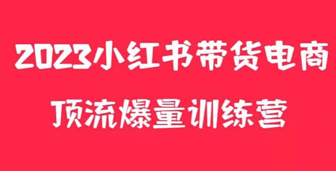 小红书电商爆量训练营，月入3W+！可复制的独家养生花茶系列玩法-91搞钱