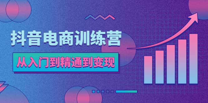 抖音电商训练营：从入门到精通，从账号定位到流量变现，抖店运营实操-91搞钱