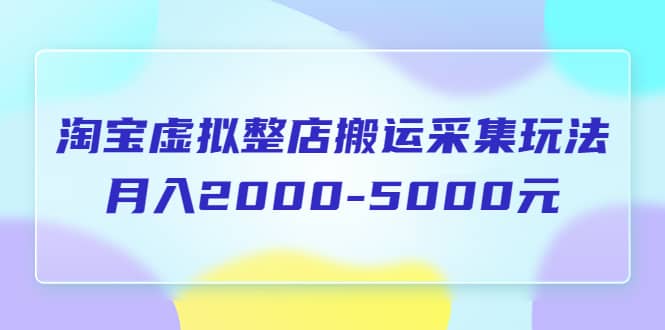 淘宝虚拟整店搬运采集玩法分享课：月入2000-5000元（5节课）-91搞钱