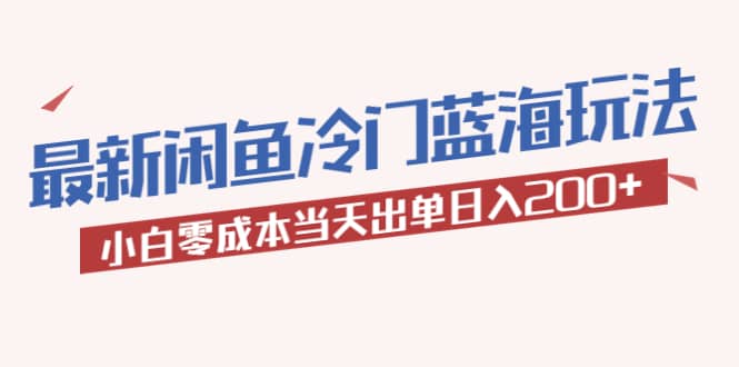 2023最新闲鱼冷门蓝海玩法，小白零成本当天出单日入200+-91搞钱